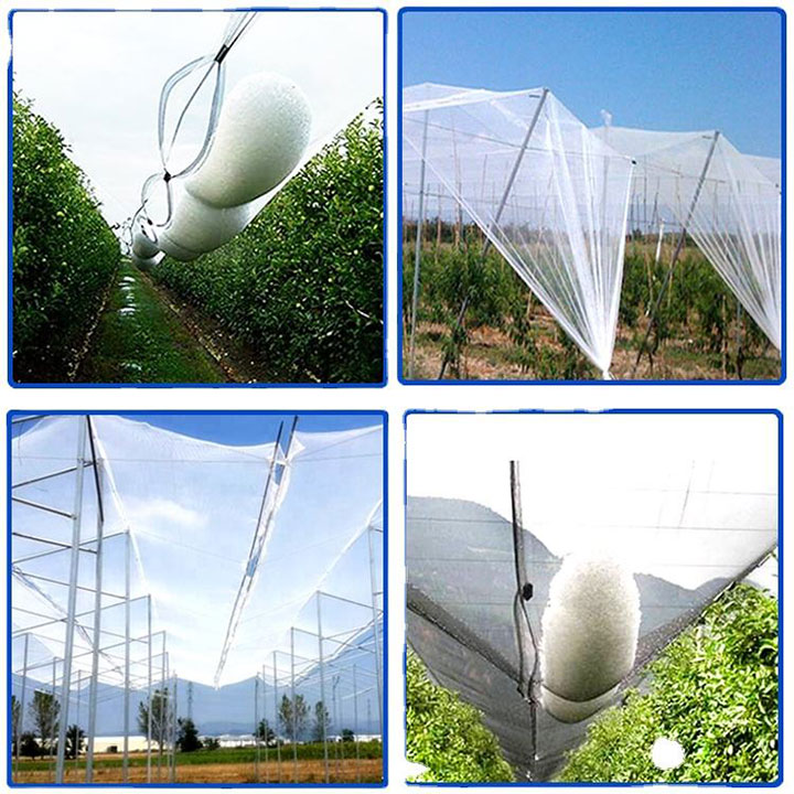 Fruit Tree Plastic Netting Haglbeskyttelse Anti-hagl net